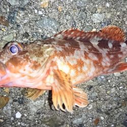 雨の日は、車横づけ置き竿で